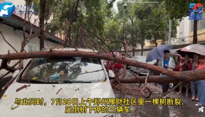 關(guān)注河南暴雨丨正在行動(dòng)！真情不缺席 線上線下齊救援